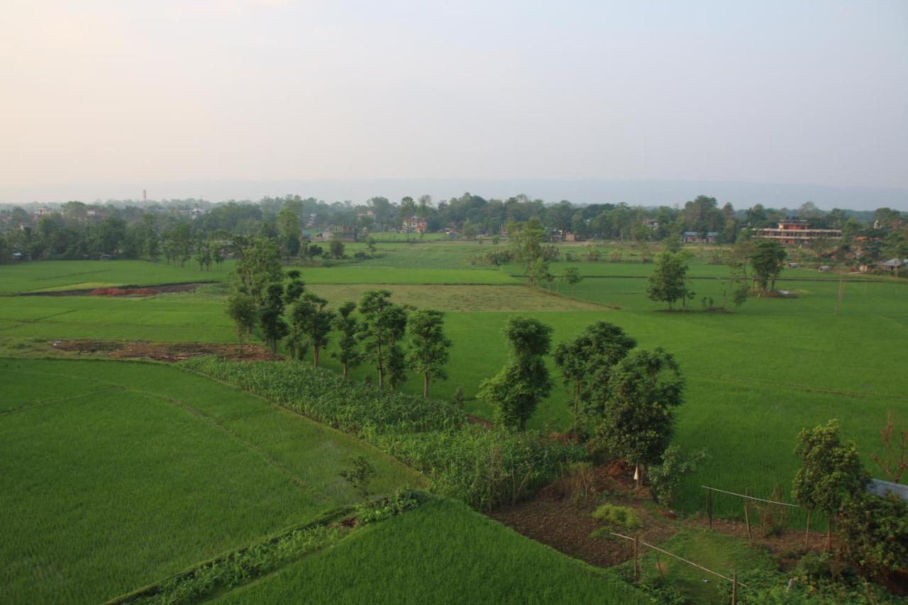 Sweet Home Chitwan Eksteriør billede